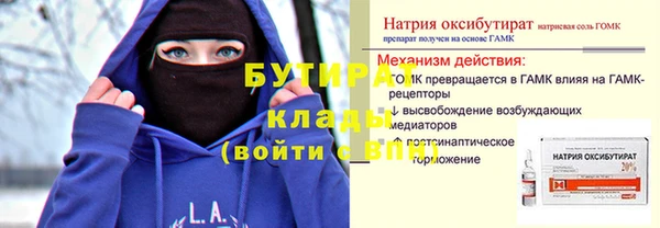 сатива Покачи